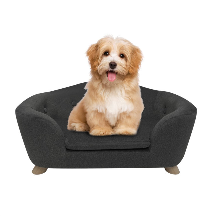 Wayfair dog outlet couch